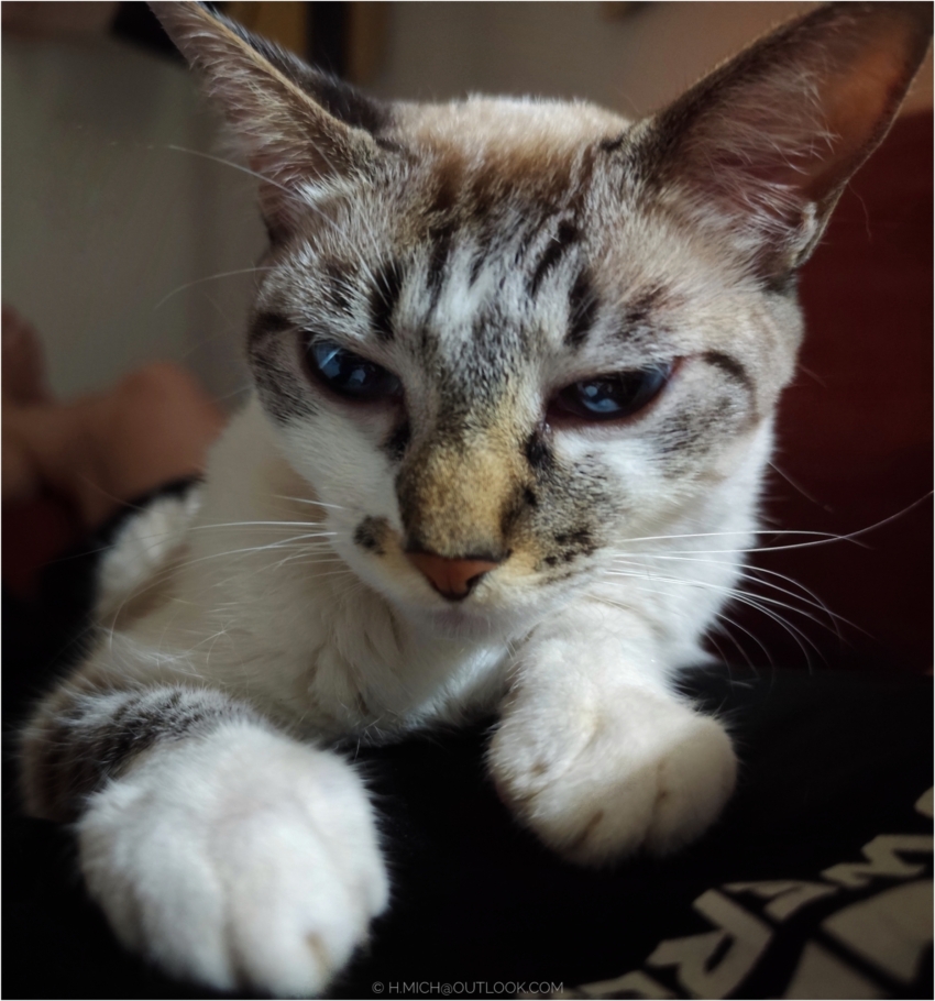 Studio-One.Art.br Repo Fotografia em Rio Preto SP/Brasil