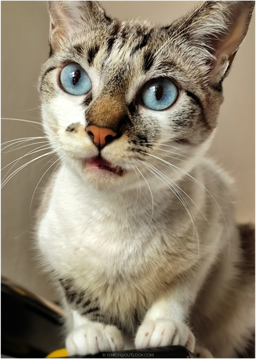 Studio-One.Art.br Repo Fotografia em Rio Preto SP/Brasil