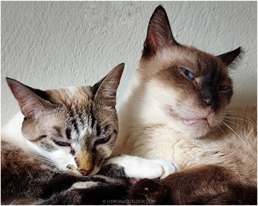 Studio-One.Art.br Repo Fotografia em Rio Preto SP/Brasil