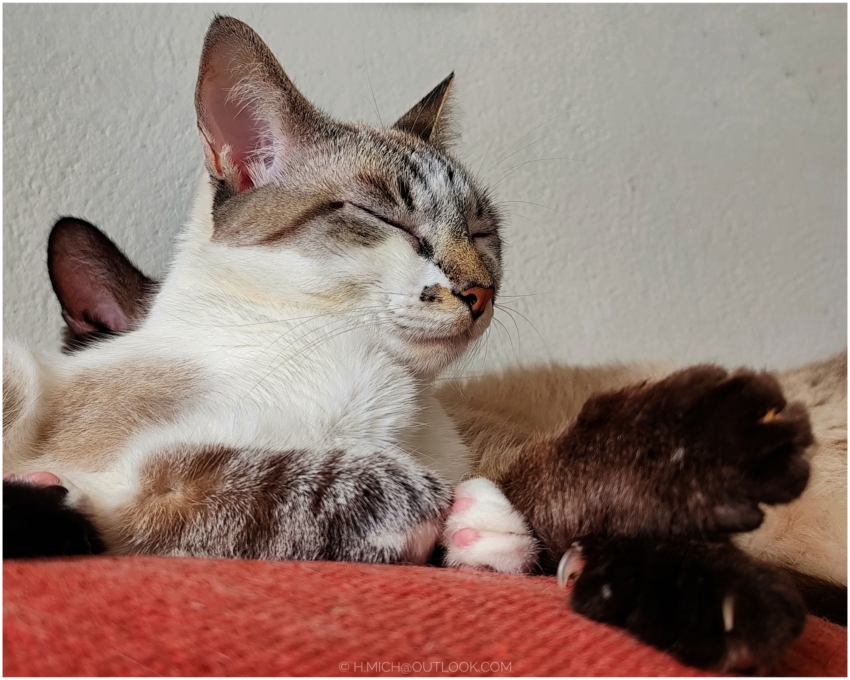 Studio-One.Art.br Repo Fotografia em Rio Preto SP/Brasil