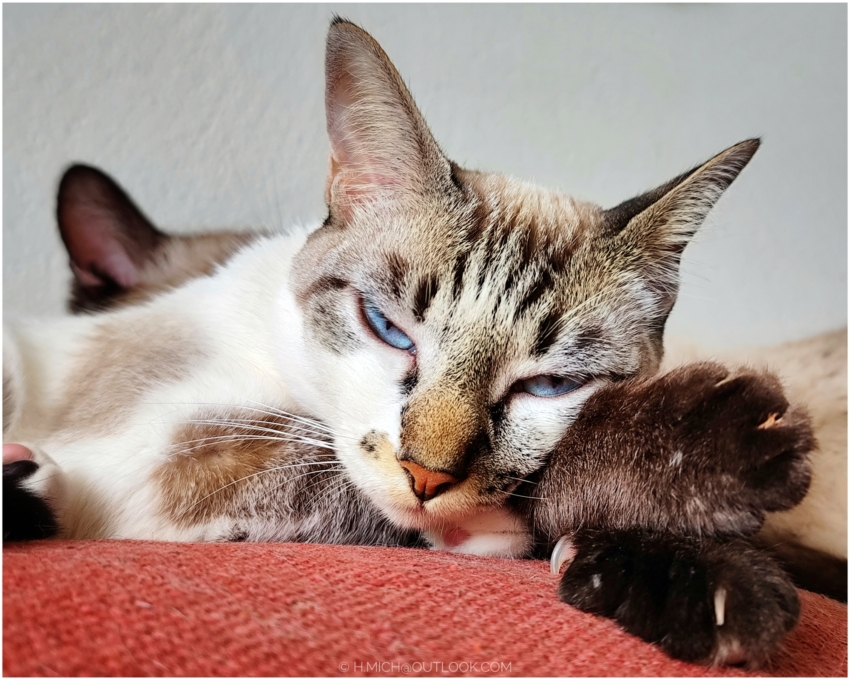 Studio-One.Art.br Repo Fotografia em Rio Preto SP/Brasil