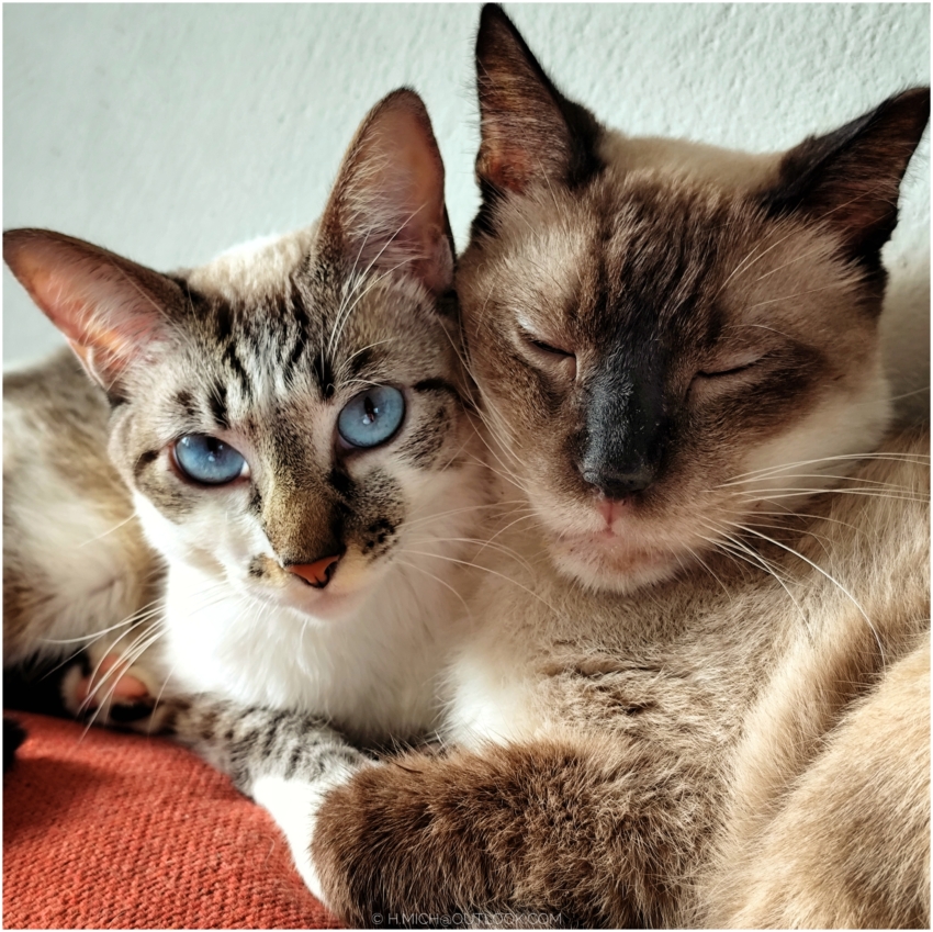 Studio-One.Art.br Repo Fotografia em Rio Preto SP/Brasil