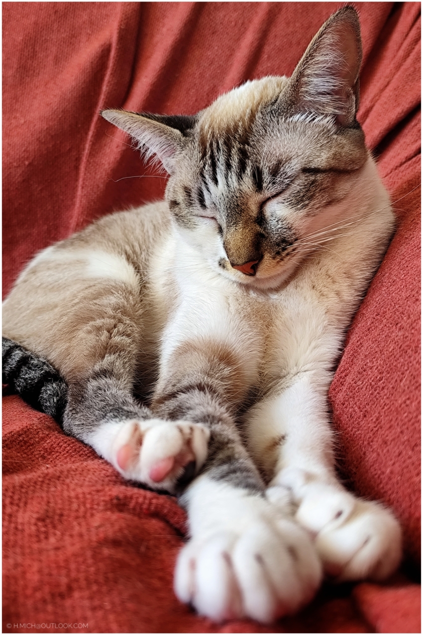 Studio-One.Art.br Repo Fotografia em Rio Preto SP/Brasil