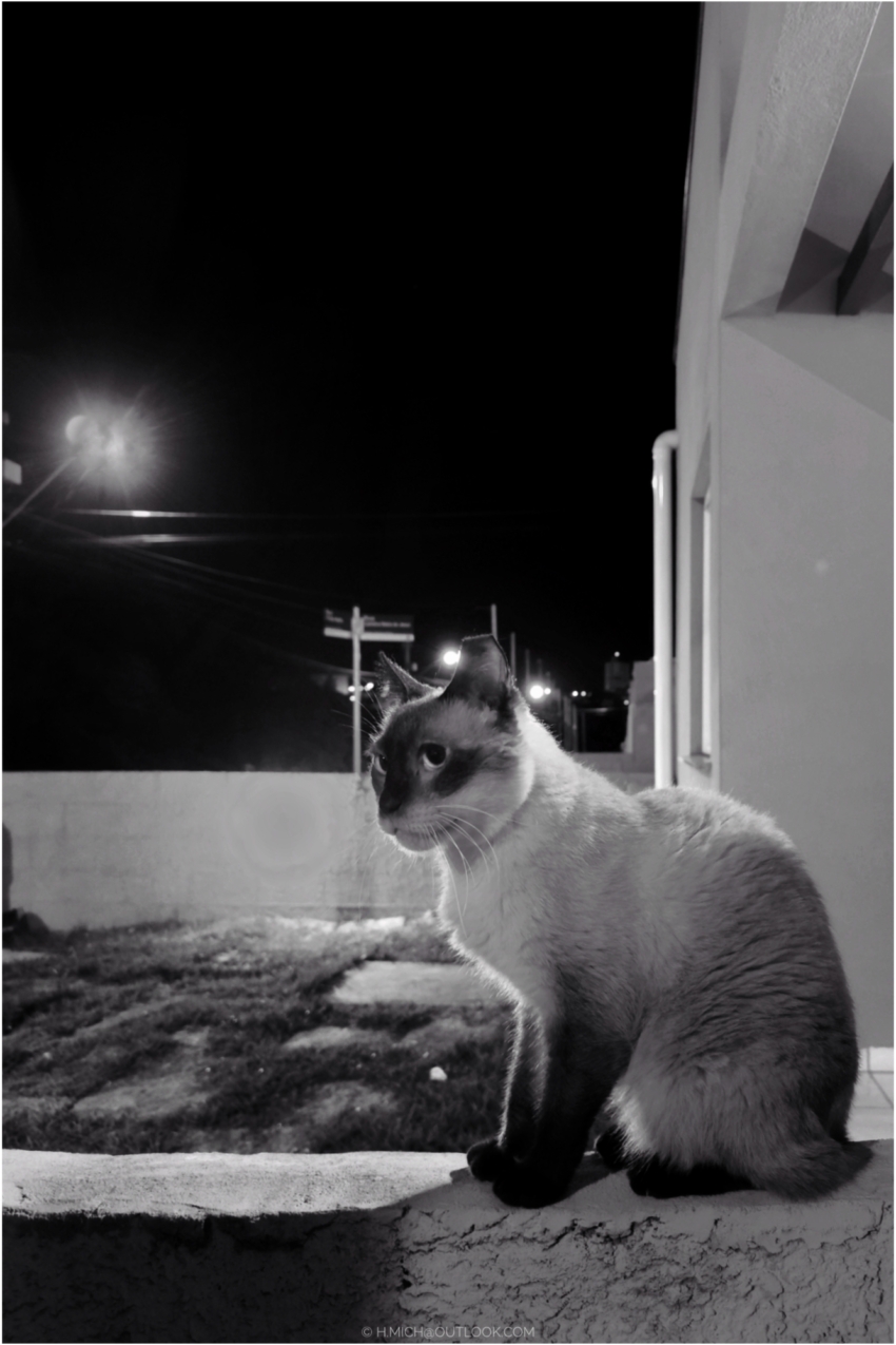 Studio-One.Art.br Repo Fotografia em Rio Preto SP/Brasil