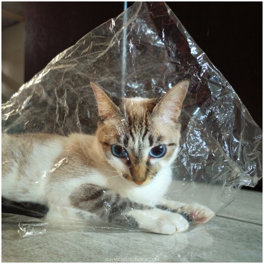 Studio-One.Art.br Repo Fotografia em Rio Preto SP/Brasil