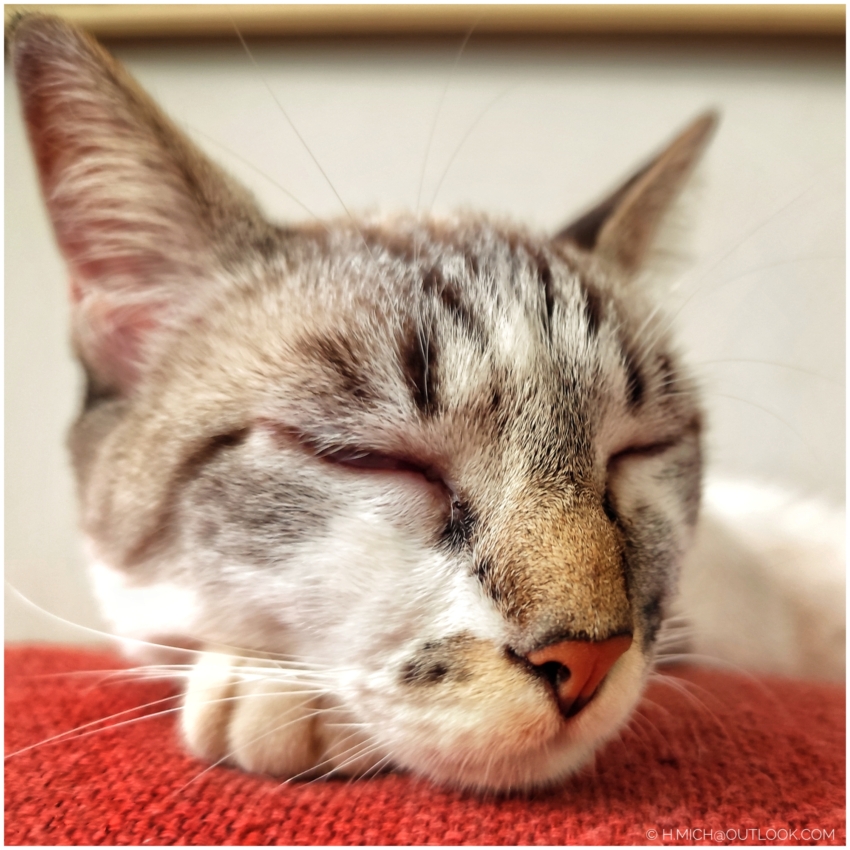 Studio-One.Art.br Repo Fotografia em Rio Preto SP/Brasil