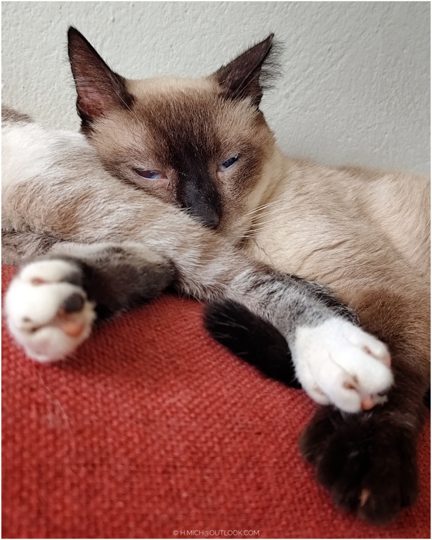 Studio-One.Art.br Repo Fotografia em Rio Preto SP/Brasil