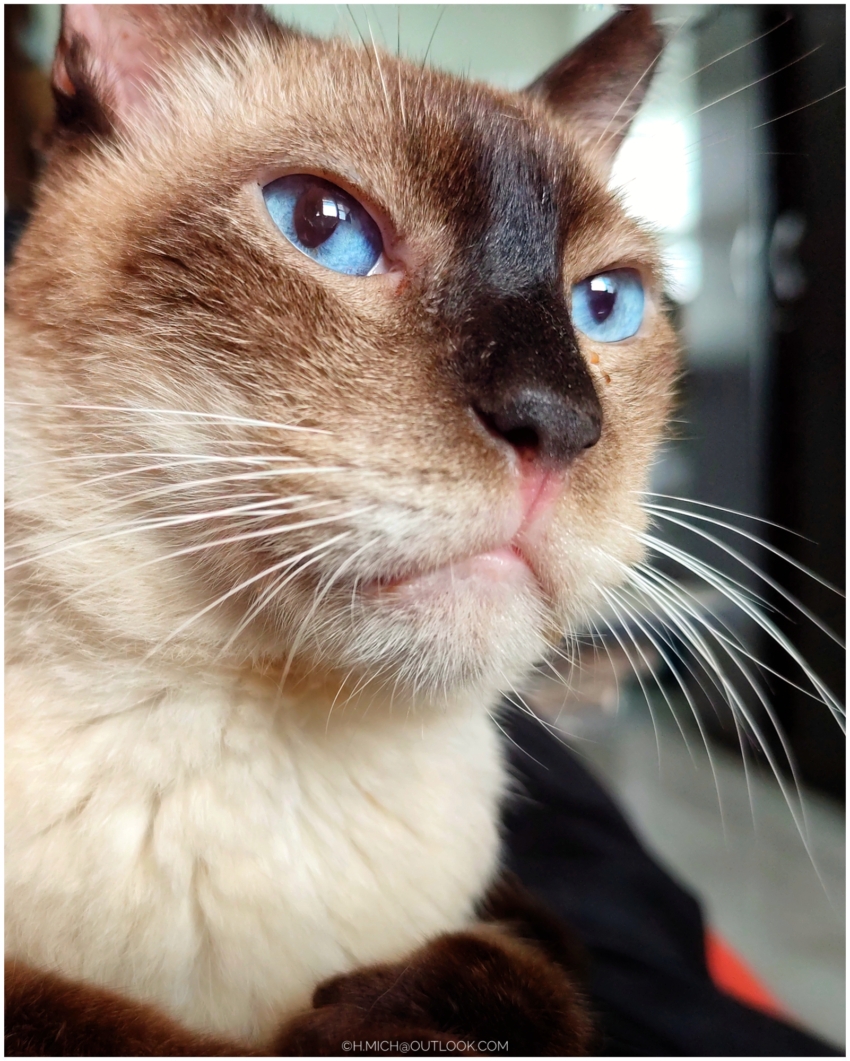 Studio-One.Art.br Repo Fotografia em Rio Preto SP/Brasil