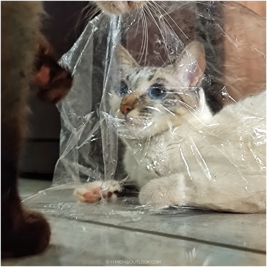 Studio-One.Art.br Repo Fotografia em Rio Preto SP/Brasil