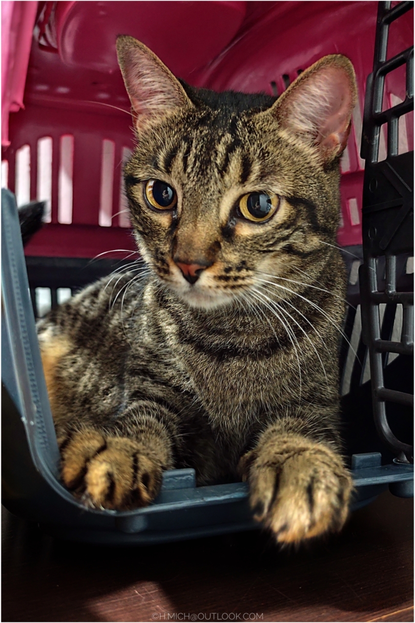 Studio-One.Art.br Repo Fotografia em Rio Preto SP/Brasil