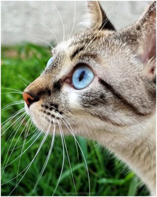 Img 20241114 061534