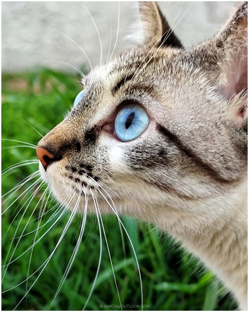 Studio-One.Art.br Repo Fotografia em Rio Preto SP/Brasil