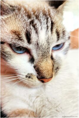 Img 20241114 095943
