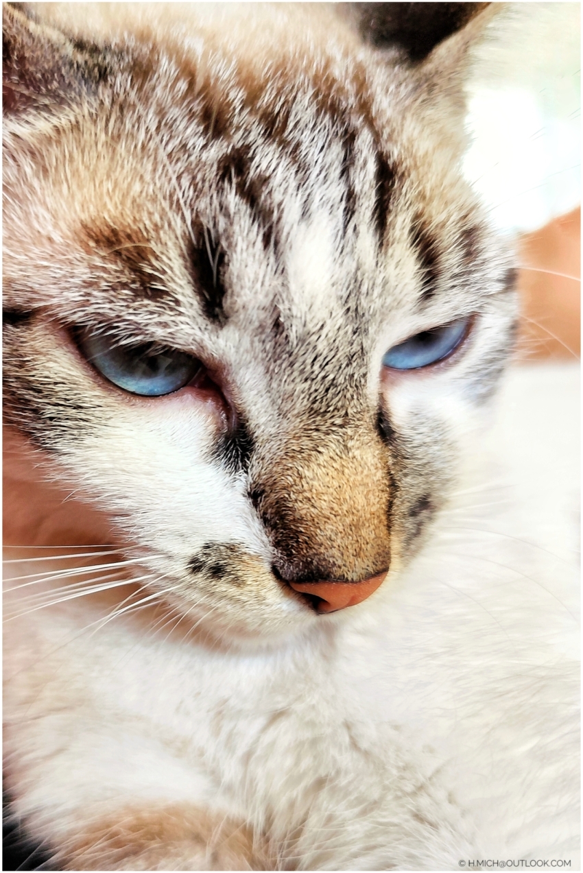 Studio-One.Art.br Repo Fotografia em Rio Preto SP/Brasil