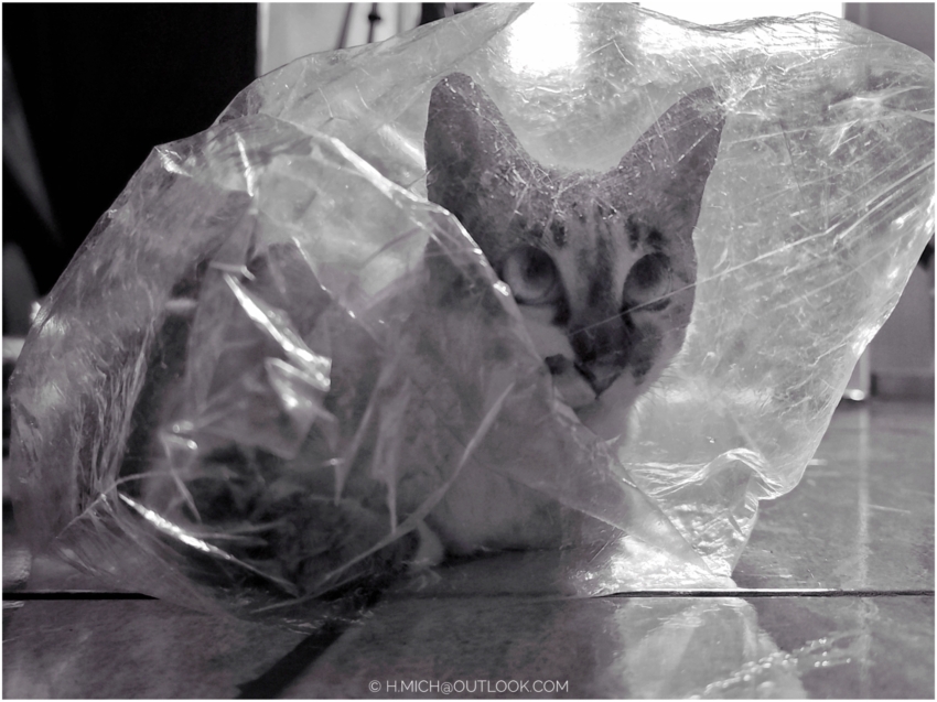 Studio-One.Art.br Repo Fotografia em Rio Preto SP/Brasil