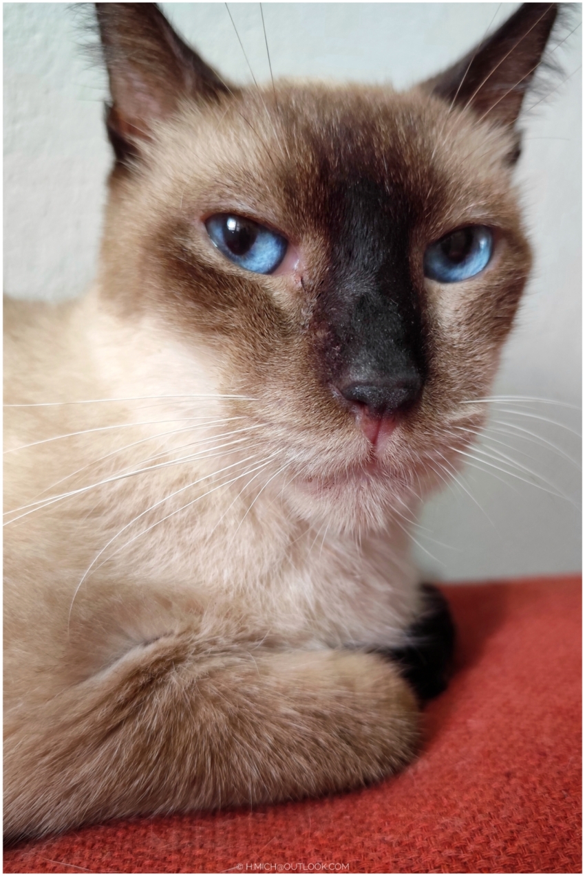 Studio-One.Art.br Repo Fotografia em Rio Preto SP/Brasil