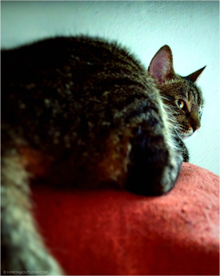 Studio-One.Art.br Repo Fotografia em Rio Preto SP/Brasil