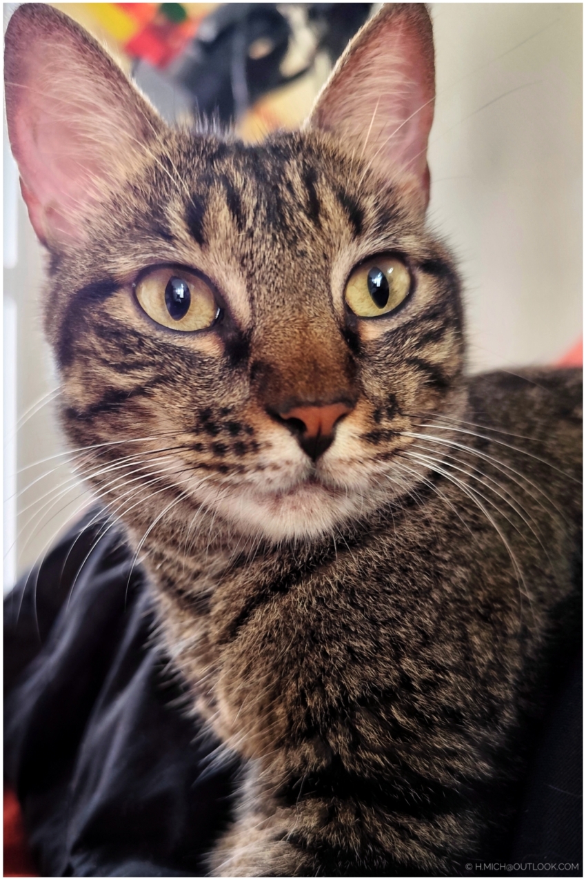 Studio-One.Art.br Repo Fotografia em Rio Preto SP/Brasil