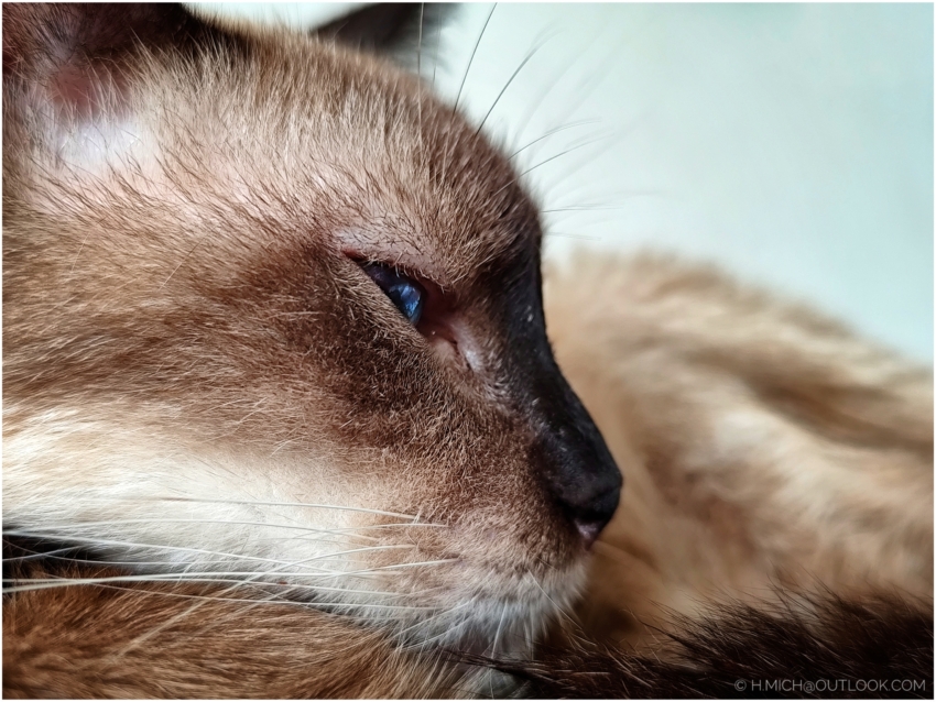 Studio-One.Art.br Repo Fotografia em Rio Preto SP/Brasil