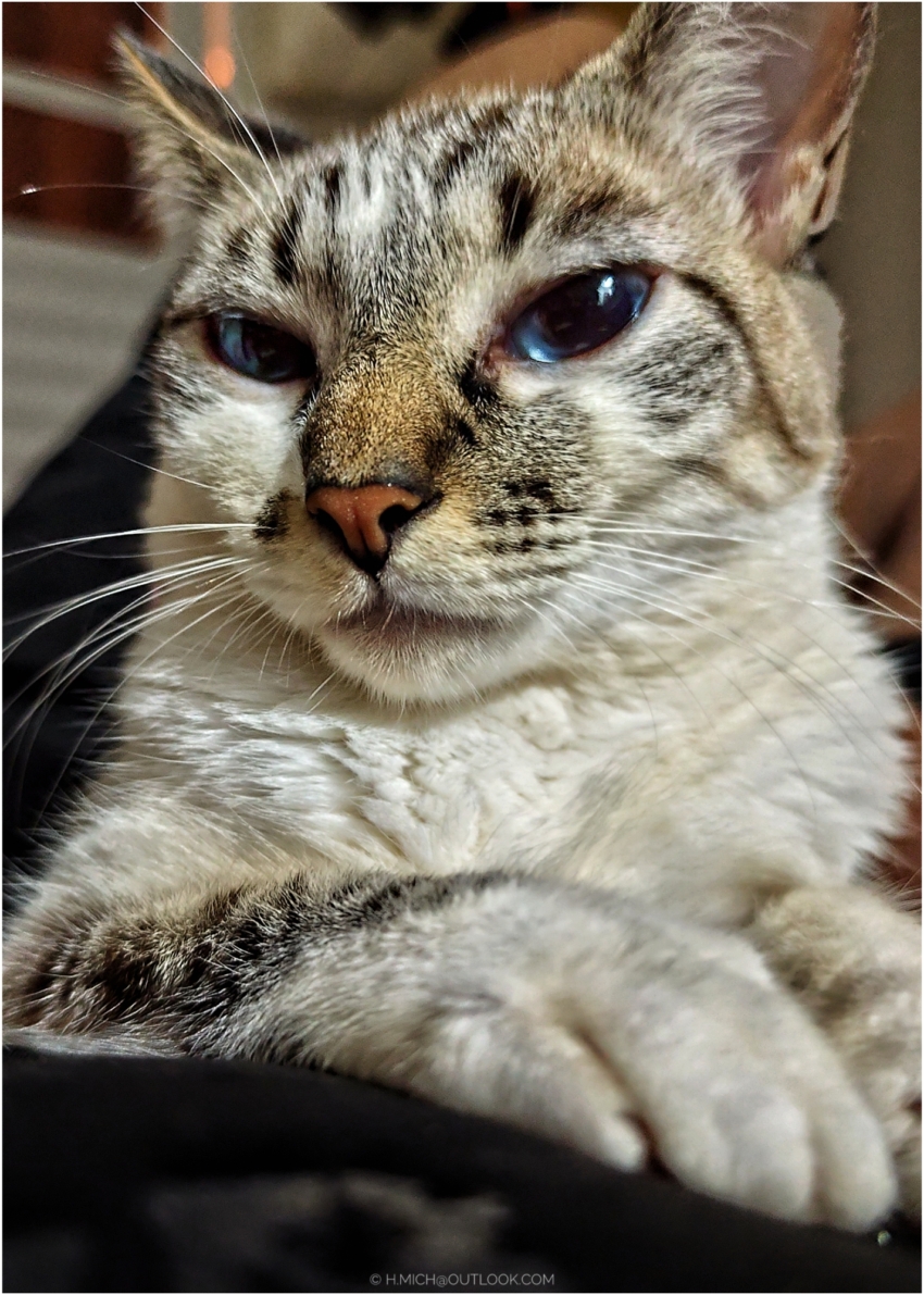 Studio-One.Art.br Repo Fotografia em Rio Preto SP/Brasil