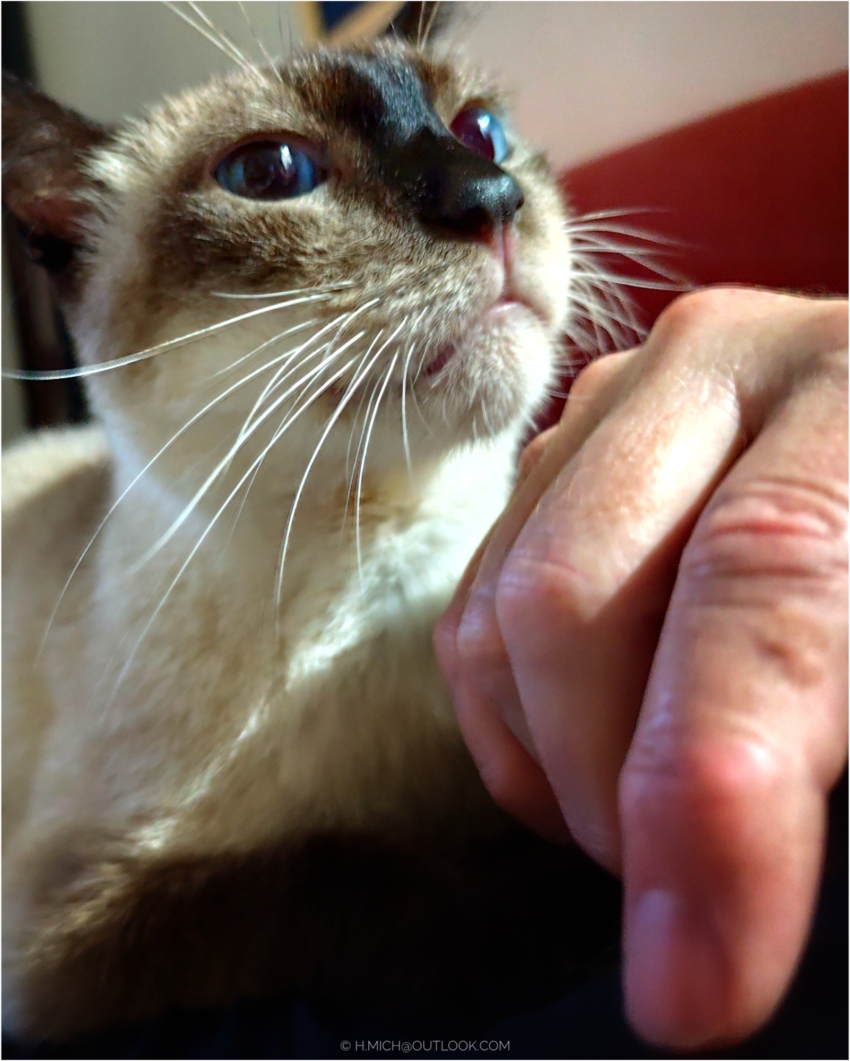 Studio-One.Art.br Repo Fotografia em Rio Preto SP/Brasil