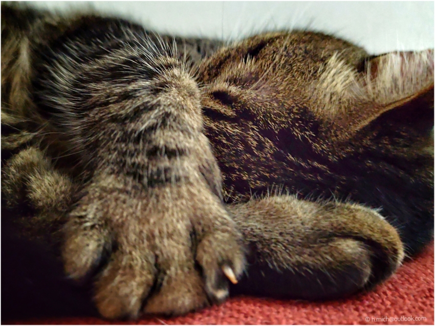 Studio-One.Art.br Repo Fotografia em Rio Preto SP/Brasil