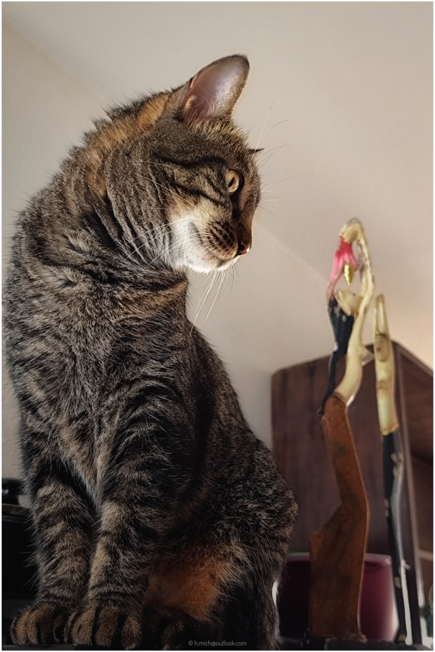 Studio-One.Art.br Repo Fotografia em Rio Preto SP/Brasil