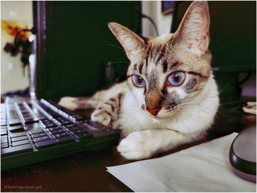 Studio-One.Art.br Repo Fotografia em Rio Preto SP/Brasil