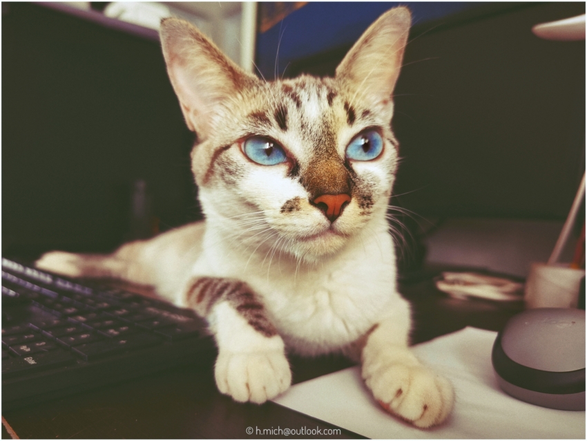 Studio-One.Art.br Repo Fotografia em Rio Preto SP/Brasil