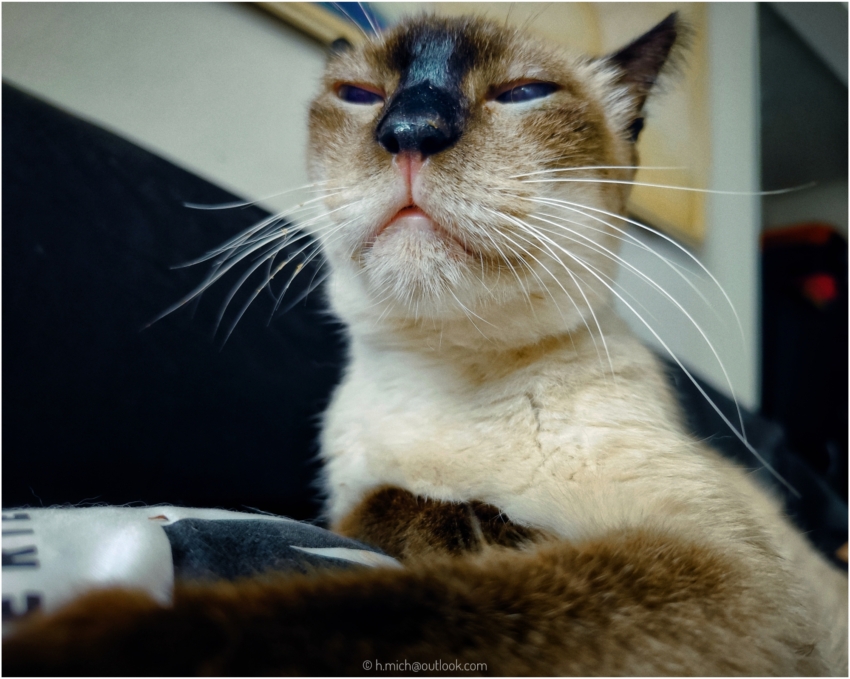 Studio-One.Art.br Repo Fotografia em Rio Preto SP/Brasil