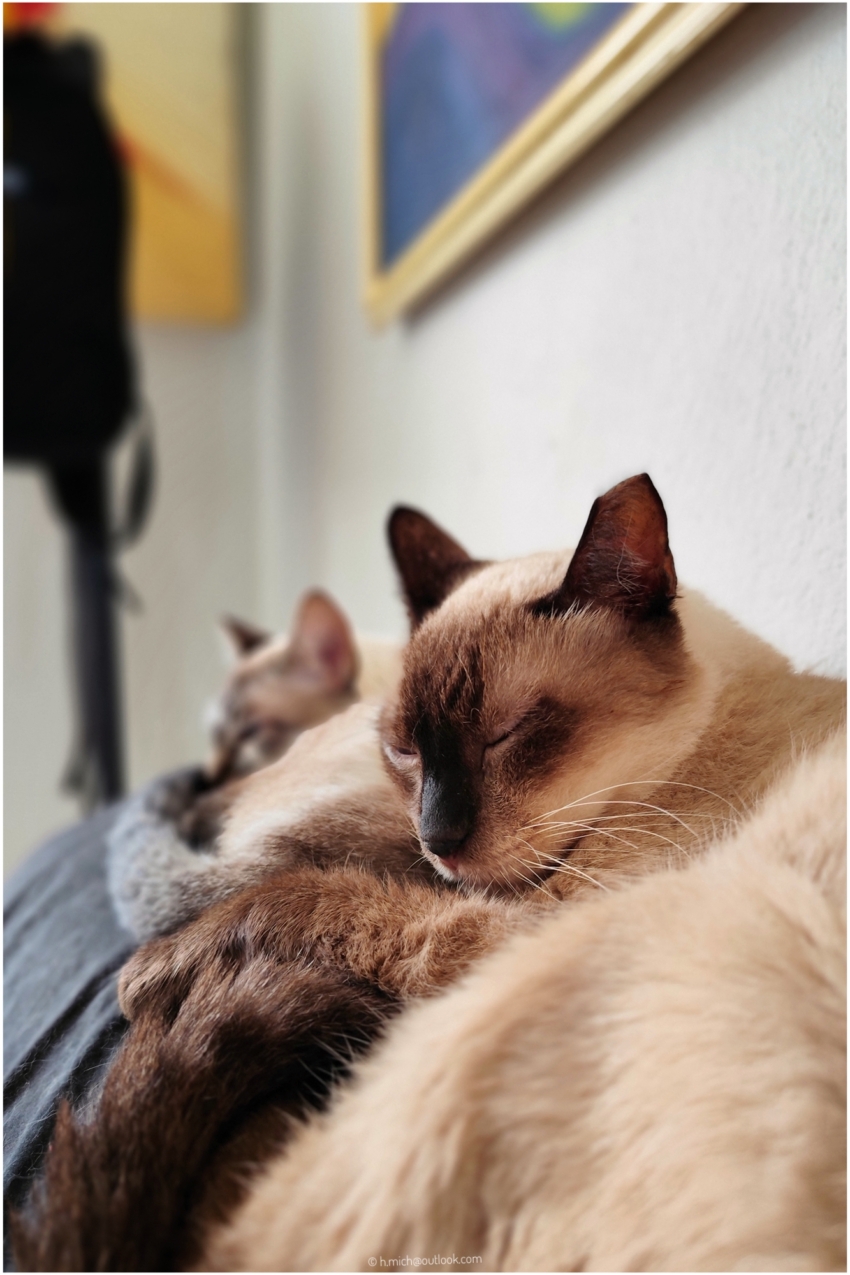 Studio-One.Art.br Repo Fotografia em Rio Preto SP/Brasil