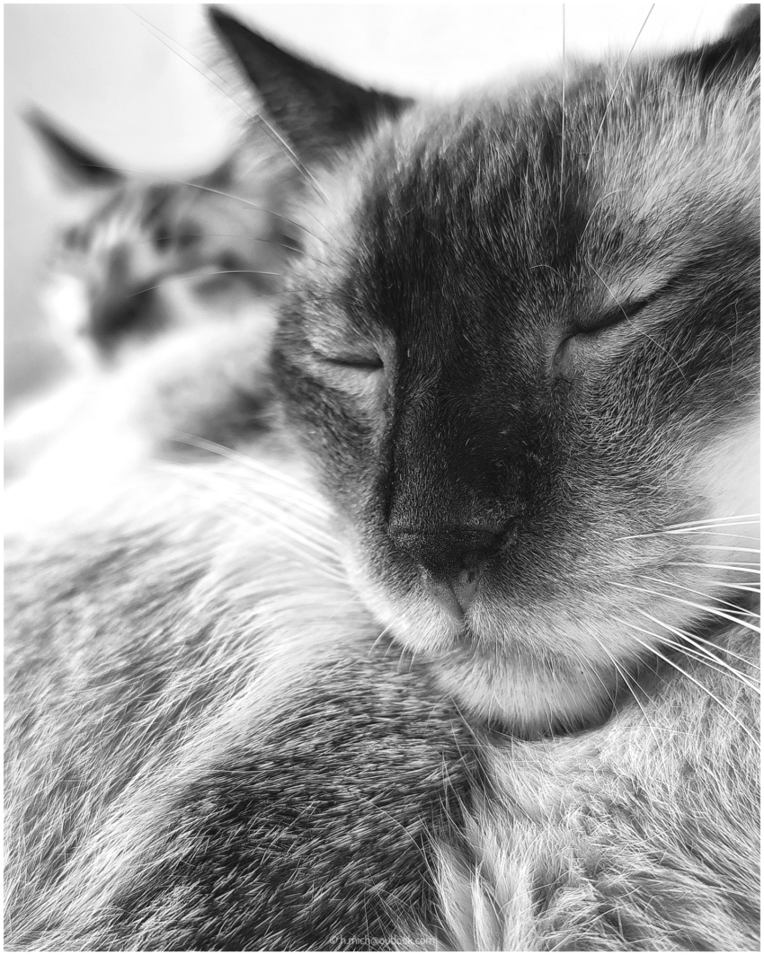 Studio-One.Art.br Repo Fotografia em Rio Preto SP/Brasil