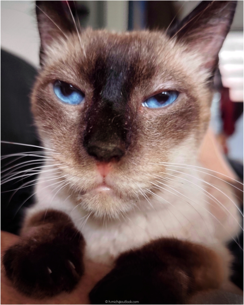 Studio-One.Art.br Repo Fotografia em Rio Preto SP/Brasil