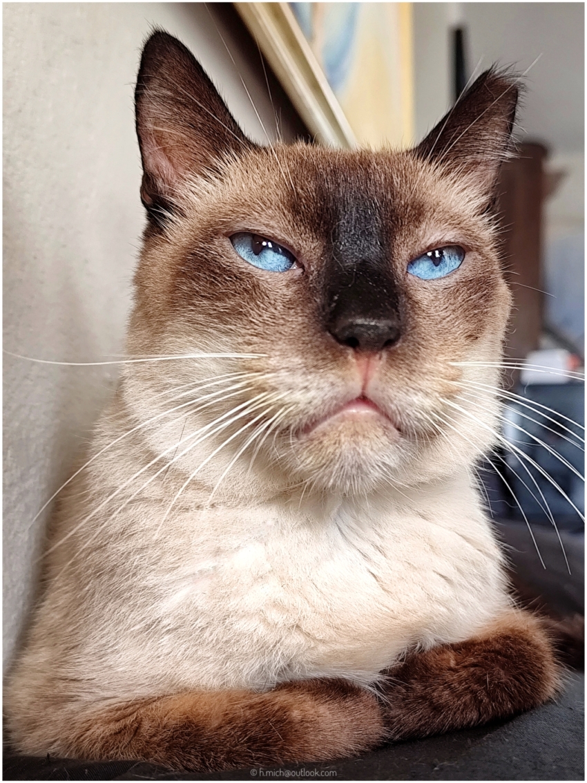 Studio-One.Art.br Repo Fotografia em Rio Preto SP/Brasil