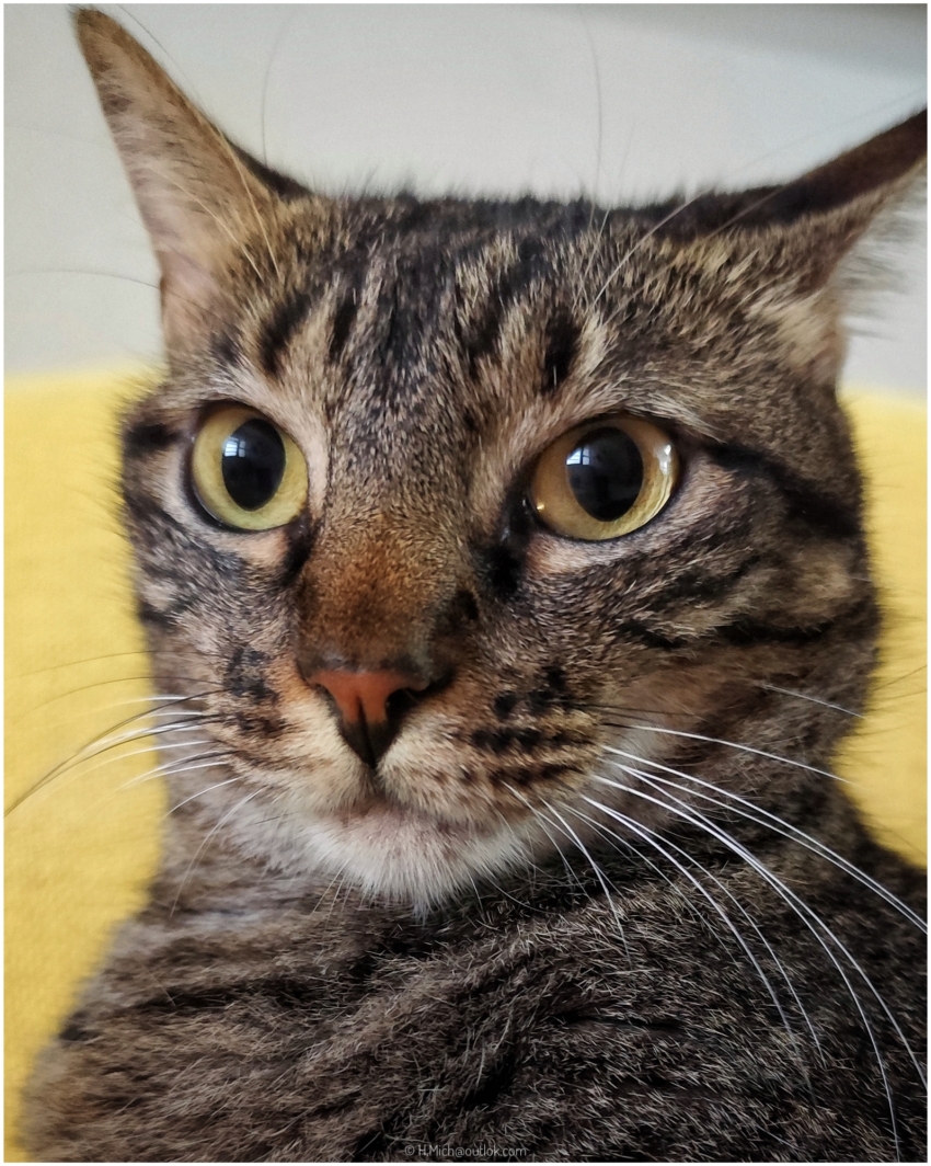 Studio-One.Art.br Repo Fotografia em Rio Preto SP/Brasil