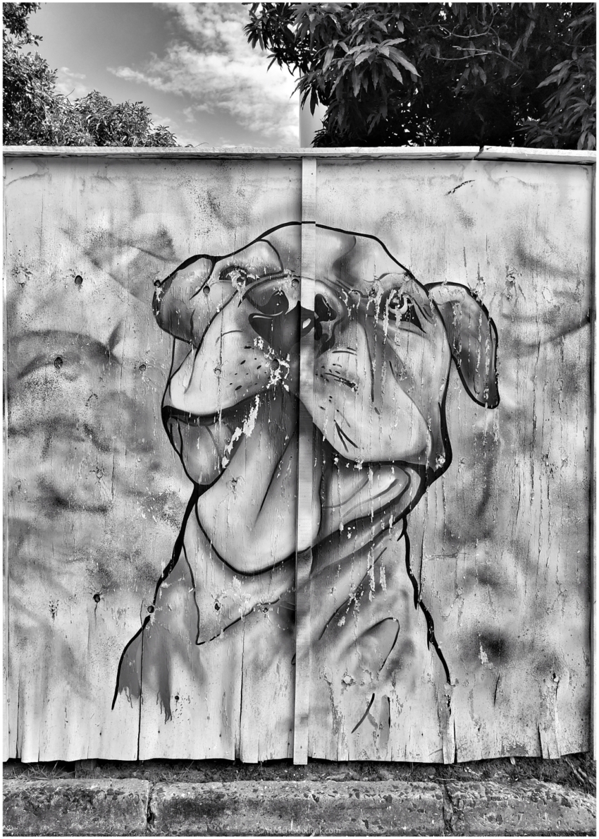 Diarium.Studio-One.Art.Br Black and white dog mural © h.mich@studio-one.art.br