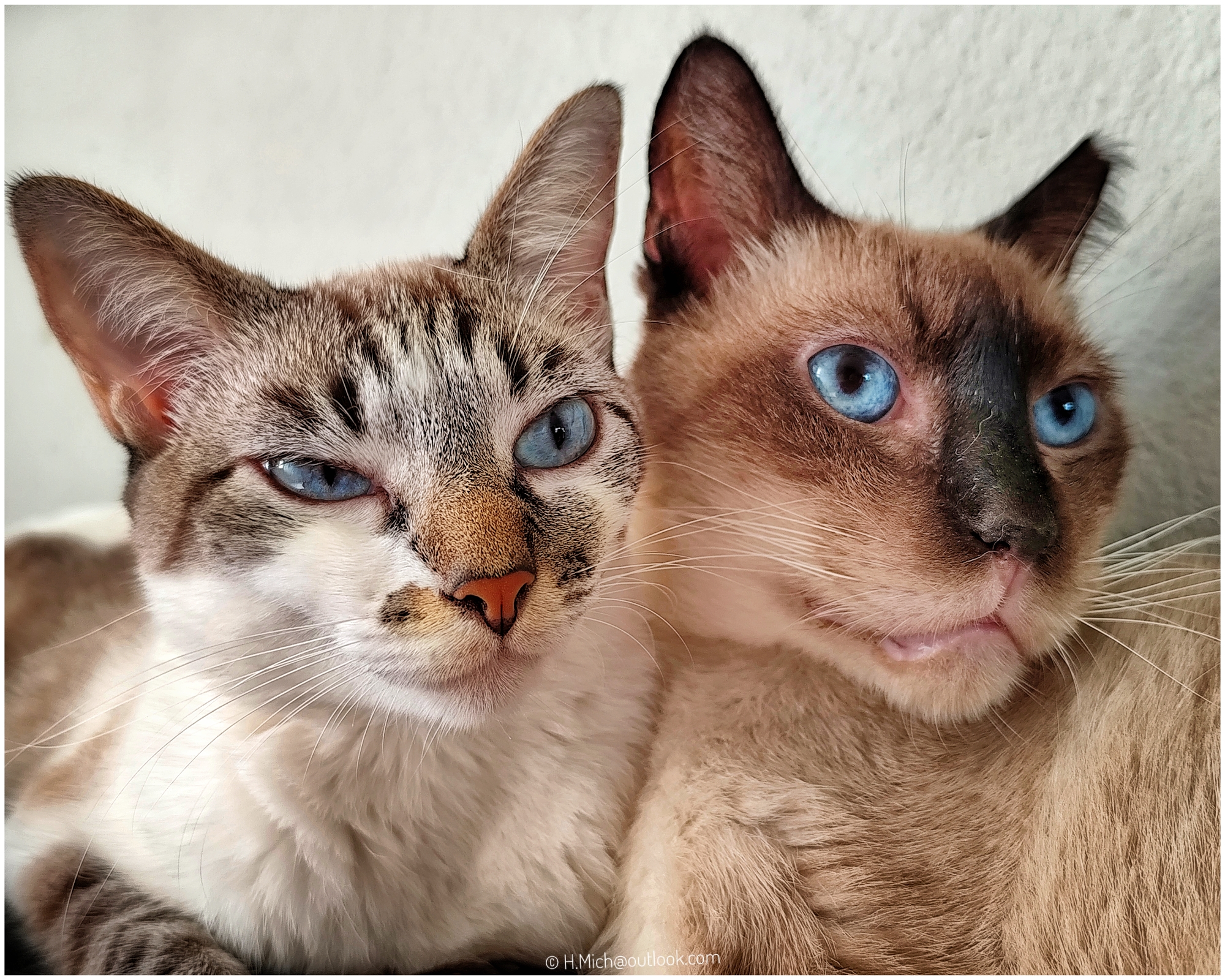 2 + 1 …