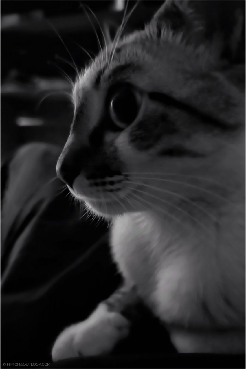 Studio-One.Art.br Repo Fotografia em Rio Preto SP/Brasil