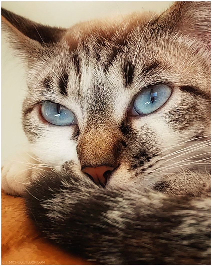 Studio-One.Art.br Repo Fotografia em Rio Preto SP/Brasil