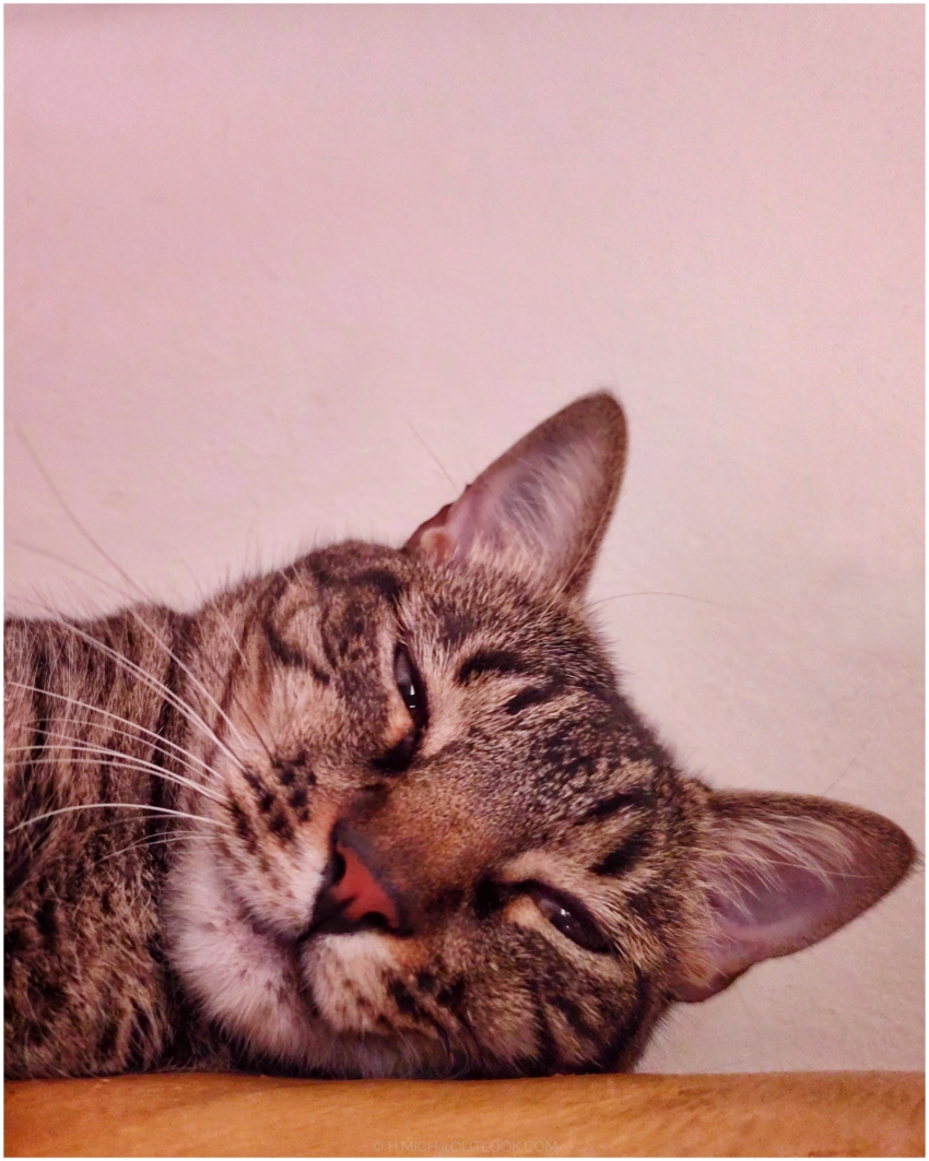 Studio-One.Art.br Repo Fotografia em Rio Preto SP/Brasil