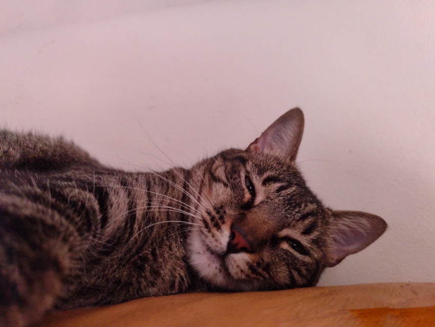 Studio-One.Art.br Repo Fotografia em Rio Preto SP/Brasil