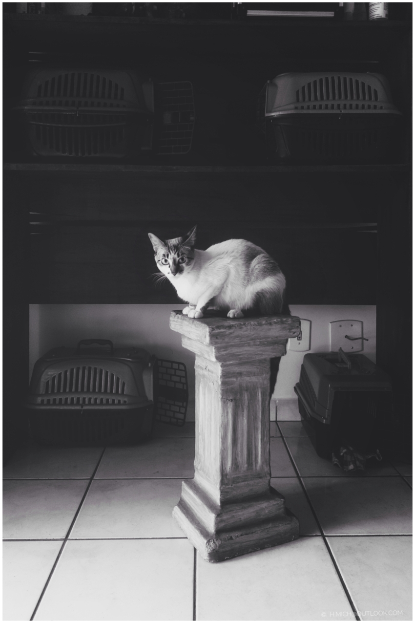 Studio-One.Art.br Repo Fotografia em Rio Preto SP/Brasil