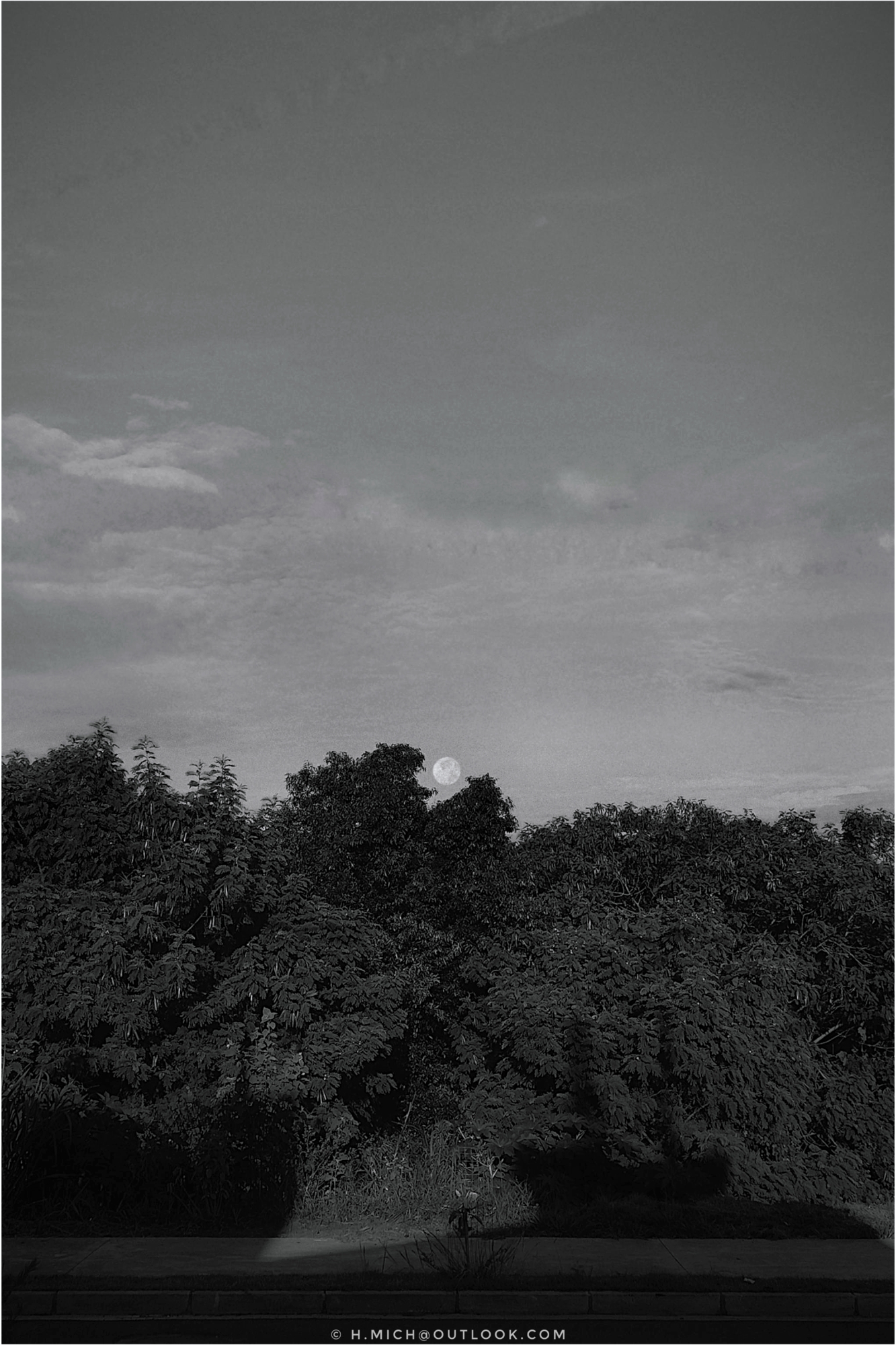 Diarium.Studio-One.Art.Br - Uma fotografia em preto e branco mostra a lua cheia pondo atrás de árvores densas e escuras no primeiro plano. O céu está parcialmente nublado, com uma textura leve. A cena tem um ambiente sereno e tranquilo. - (c) H.Mich