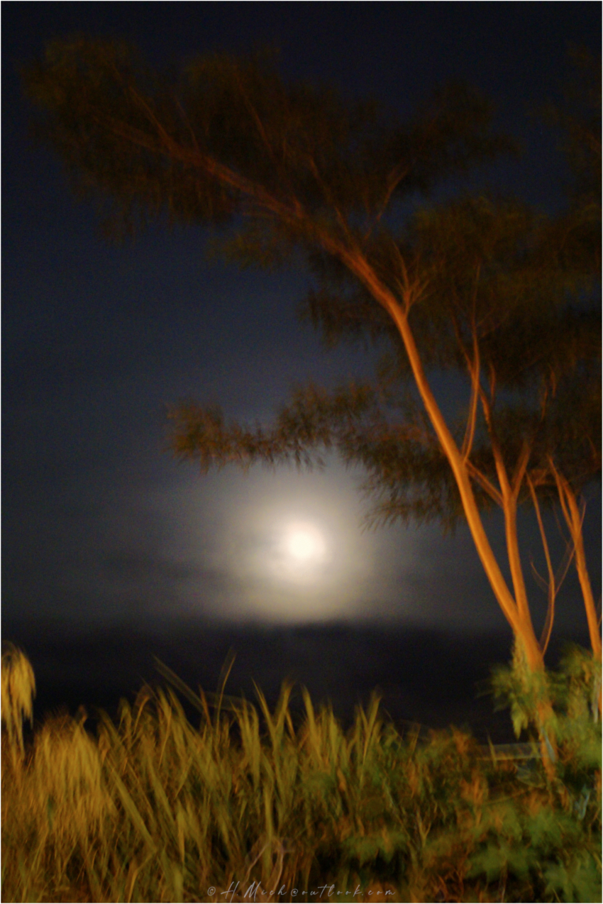 Studio-One.Art.br Repo Fotografia em Rio Preto SP/Brasil