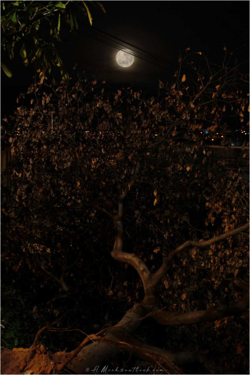 Studio-One.Art.br Repo Fotografia em Rio Preto SP/Brasil