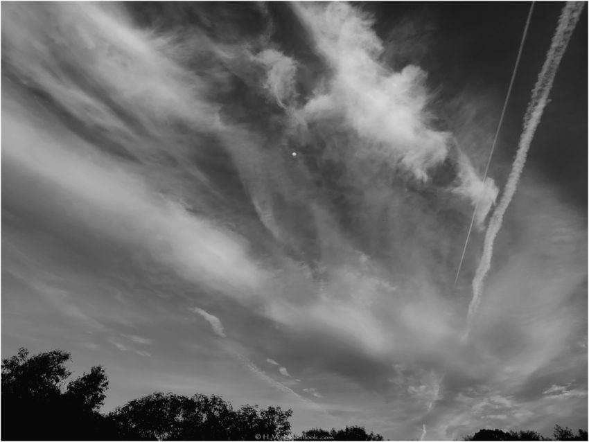 Studio-One.Art.br Repo Fotografia em Rio Preto SP/Brasil