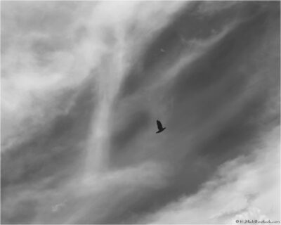 © H.mich@outlook.com