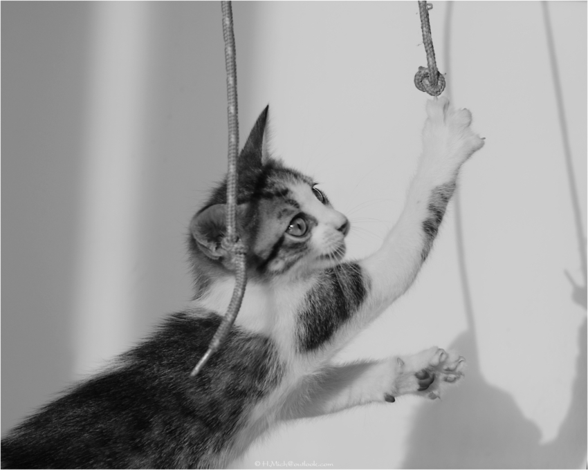 Studio-One.Art.br Repo Fotografia em Rio Preto SP/Brasil