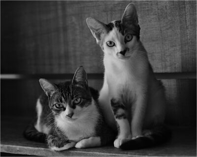 © H.mich@outlook.com