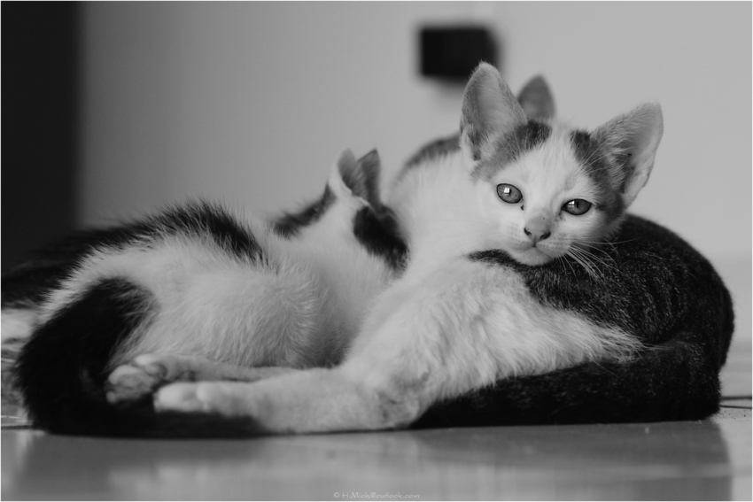 Studio-One.Art.br Repo Fotografia em Rio Preto SP/Brasil